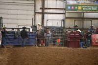 BOWDEN-WALNDSC_2425.JPG