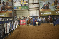 SHELBOURN, BAILEYDSC_4165.JPG