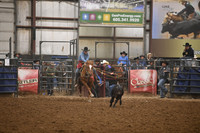 BOOMSMA-CARMICHAELDSC_2397.JPG