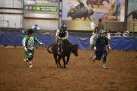 EDGAR, CASHDSC_4594.JPG