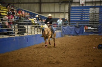 CHENEY, RIGGENSDSC_3679.JPG