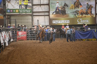BOOMSMA, BRIA DSC_8768.JPG