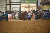 BOWDEN, KOBYDSC_5078.JPG