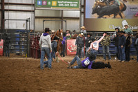 BOOMSMA-CARMICHAELDSC_0097.JPG