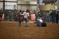 BOOMSMA-CARMICHAELDSC_0095.JPG