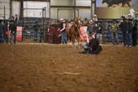 BOOMSMA-CARMICHAELDSC_0091.JPG