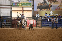 BOWDEN-WALNDSC_3253.JPG