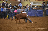 OLSON, JORYDSC_5270.JPG