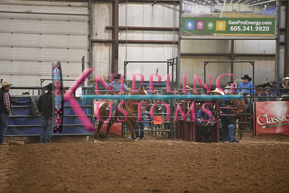 BOOMSMA-CARMICHAELDSC_2395.JPG