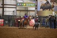 BOOMSMA-CARMICHAELDSC_0082.JPG
