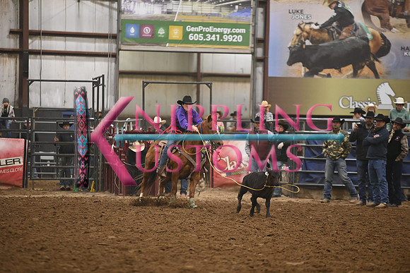 BOOMSMA-CARMICHAELDSC_0082.JPG