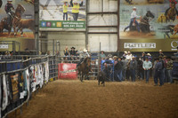 JONES, STETSONDSC_0972.JPG