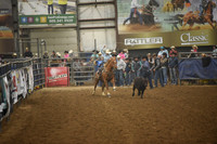 PHILLIPS, PAIGEDSC_0540.JPG