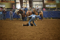 BOOMSMA, DRAKE DSC_6785.JPG