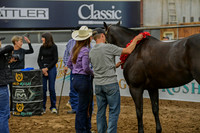 AWARDSDSC_5290.JPG