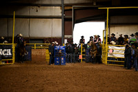 Team Roping