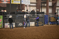 Bull Riding