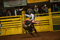 GABE, CHAZDSC_1707.JPG