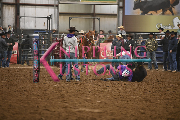 BOOMSMA-CARMICHAELDSC_0096.JPG