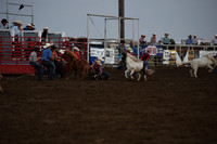 Wild Pony RaceDSC_6078