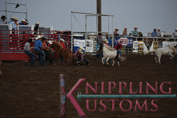 Wild Pony RaceDSC_6078