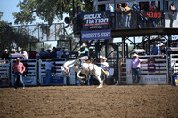 CARLSON, SYLARDSC_4230.JPG