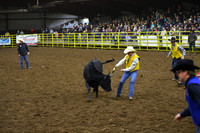 WILD STEER RIDINGDSC_4084.JPG