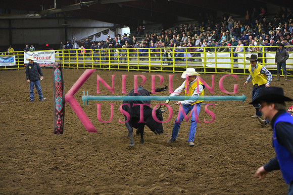 WILD STEER RIDINGDSC_4084.JPG