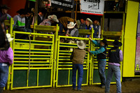 Saddle Bronc