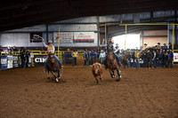 CAREY-MCGIRRDSC_2404.JPG