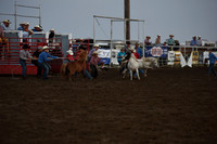 Wild Pony RaceDSC_6077