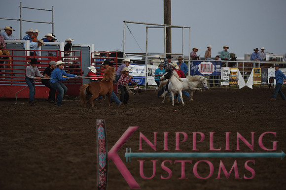 Wild Pony RaceDSC_6077