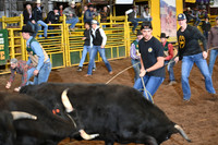 WILD STEER RIDINGDSC_6011.JPG