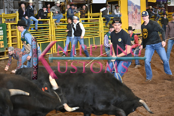 WILD STEER RIDINGDSC_6011.JPG