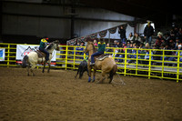 CARLSON-PROMERSBERGERDSC_2085.JPG