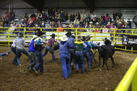WILD STEER RIDINGDSC_4077.JPG