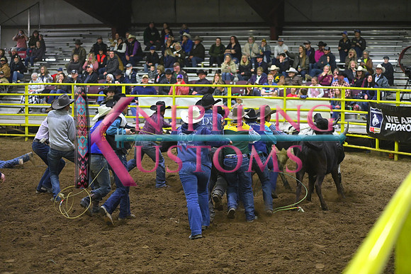 WILD STEER RIDINGDSC_4077.JPG