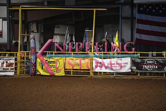 GRAND ENTRYDSC_5263.JPG