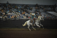 HAVLIK, SELAHDSC_0369.JPG