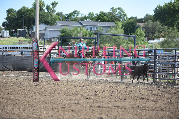 JONES, STETSONDSC_9379.JPG