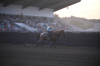 KNIPPLING, RYATTDSC_0285.JPG