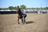 LAMMERS, REODSC_9313.JPG