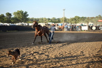 MERRILL, TDSC_0068.JPG