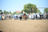 NESS, SWAYZEDSC_9687.JPG