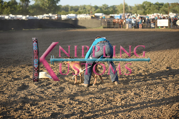 SCHRIEVER, ASHLEYDSC_0079.JPG
