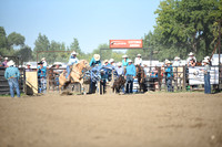 SELBY, SHADADSC_9656.JPG