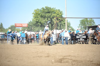SELBY, SHADADSC_9658.JPG