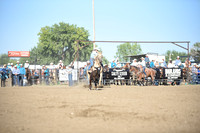 SELBY, SHADADSC_9660.JPG