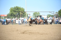 SELBY, SHADADSC_9661.JPG