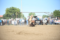 SELBY, SHADADSC_9662.JPG
